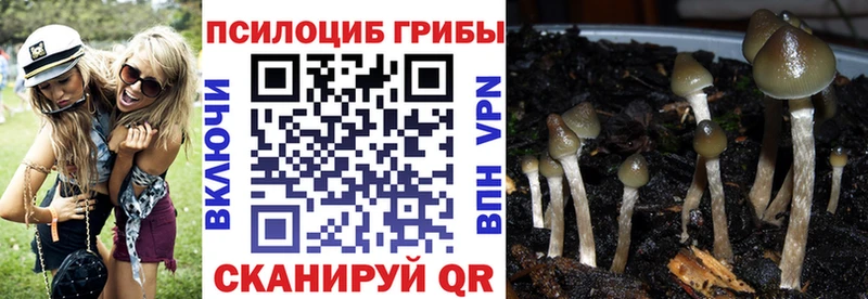 Псилоцибиновые грибы мухоморы  Купить  Кимовск 